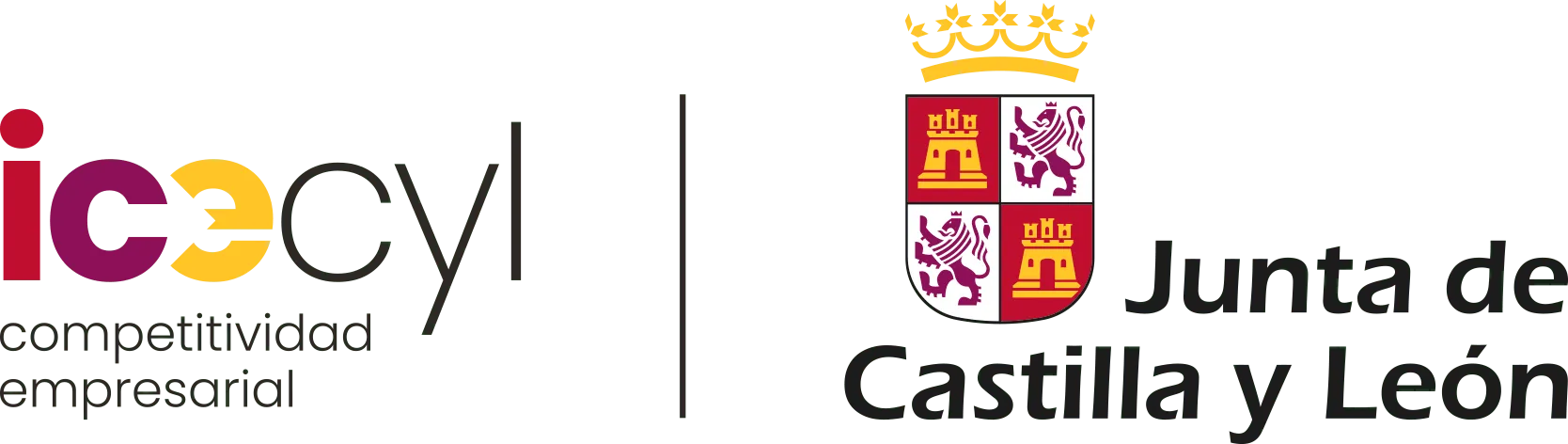 Apoyado por Castilla y León